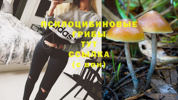 героин Алзамай