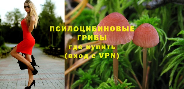 a pvp Алексин
