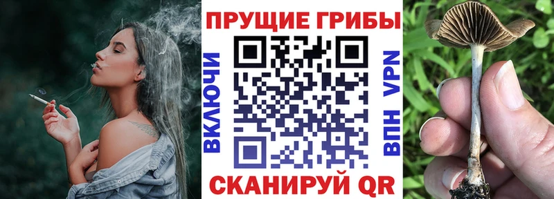 Галлюциногенные грибы мицелий Дмитров